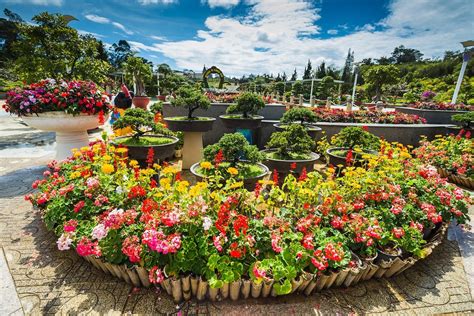 3 Days in Dalat Itinerary: Discovering the City of Eternal Spring.